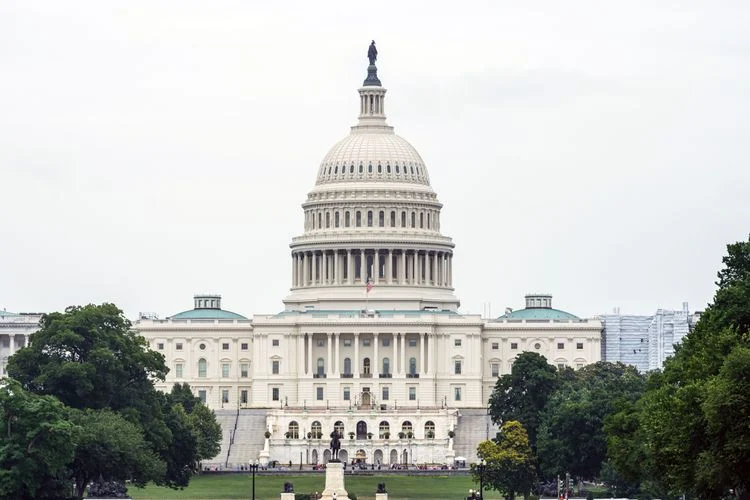 政府与公共服务